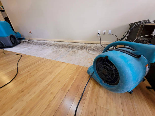 Professional Water Damage Repair technician working in Markham, VA